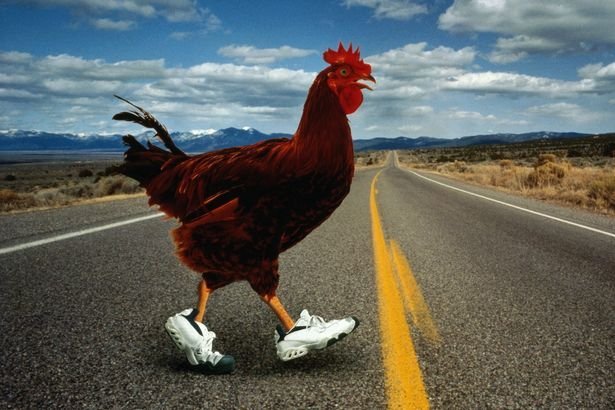 Conoce el Juego de Póquer de la Fama, Chicken Road en España - overview