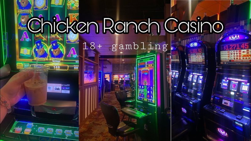 Descubre El Nuevo Juego Emocionante De Casino: Chicken Road 2 En Línea in Spain