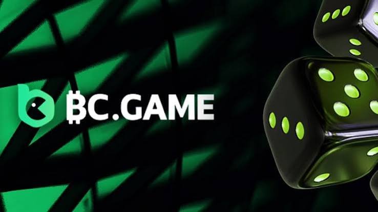 The Rise of BC Game in the USA A New Era of Online Gaming