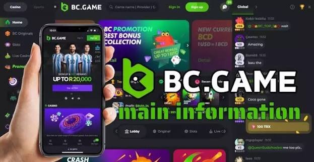 Understanding the Privacy Policy of BC.Game 816245411