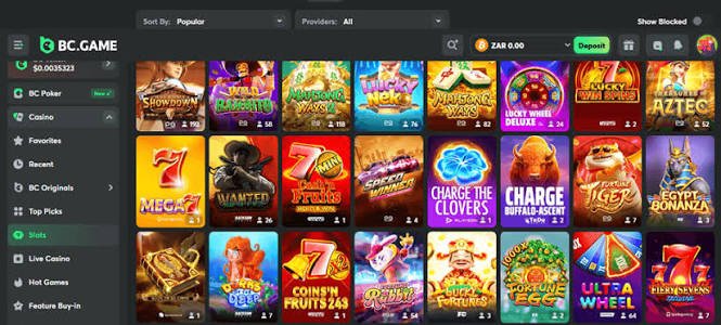 Understanding the Privacy Policy of BC.Game 816245411