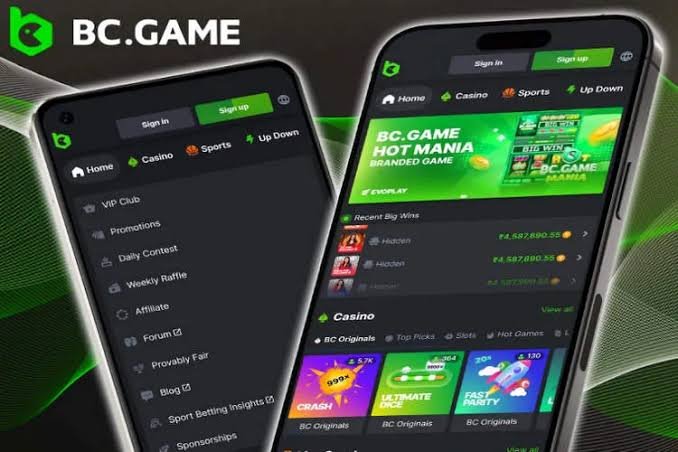 Understanding the Privacy Policy of BC.Game 816245411